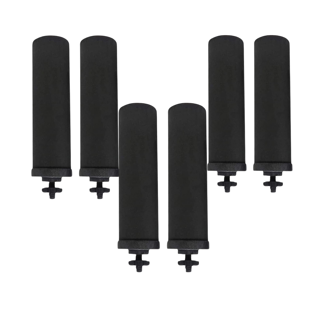 Filtros de Carbón Activado Ionizado EuroGuard Premium 2X – Compatibles con todos los filtros Berkey