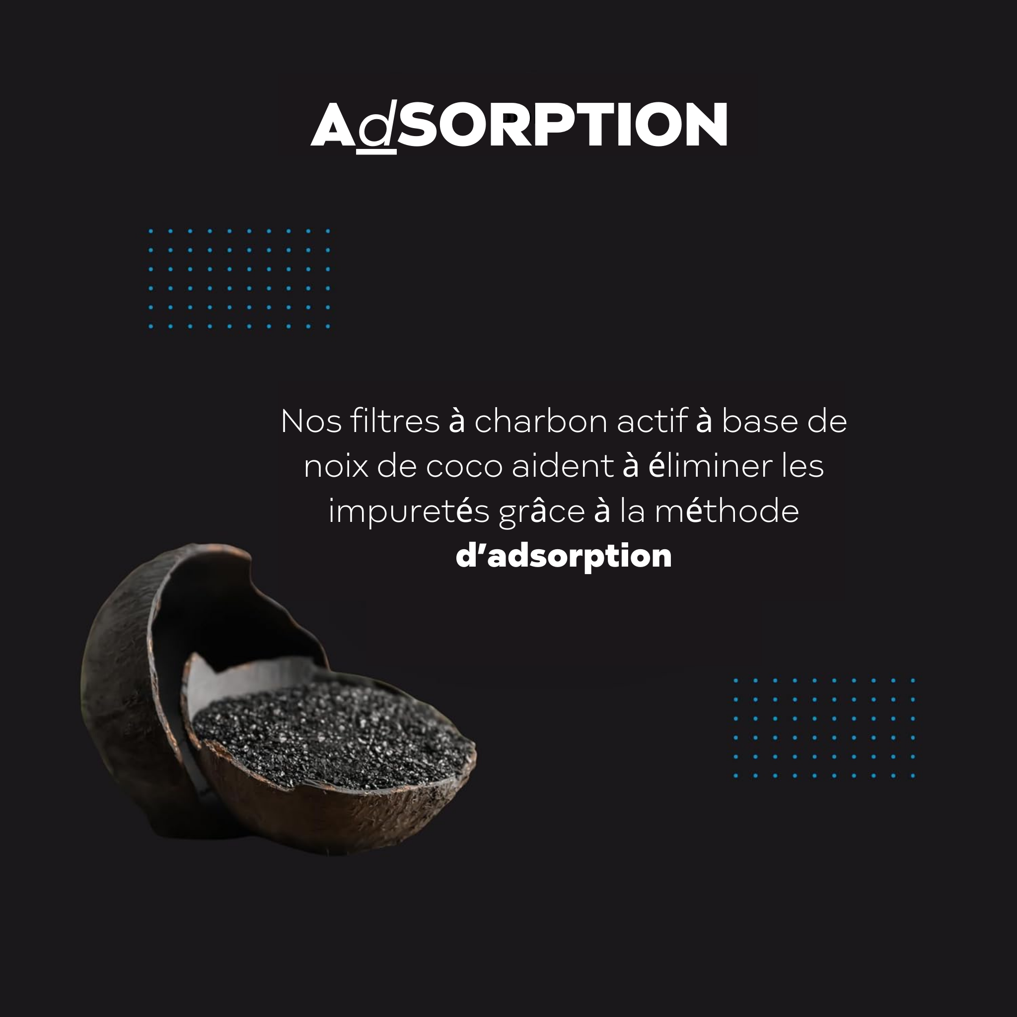 Filtres à Charbon Actif Ionisé Euroguard Premium 2X - Compatibles avec Tous les Filtres Berkey - EuroGuard Filtre