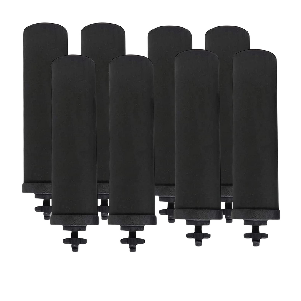 Filtros de Carbón Activado Ionizado EuroGuard Premium 2X – Compatibles con todos los filtros Berkey