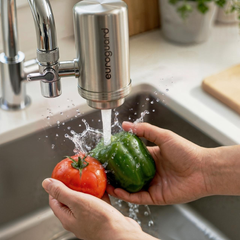 Filtro de Agua para Grifo Euroguard (Inox) – Reduce el Cloro, el Sabor y las Impurezas