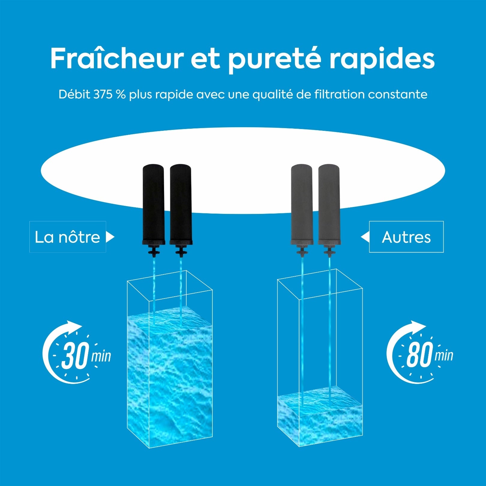 Filtres à Charbon Actif Ionisé Euroguard Premium 2X - Compatibles avec Tous les Filtres Berkey - EuroGuard Filtre